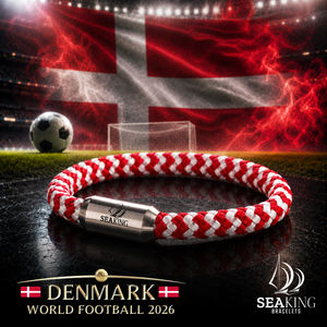Denmark 🏆